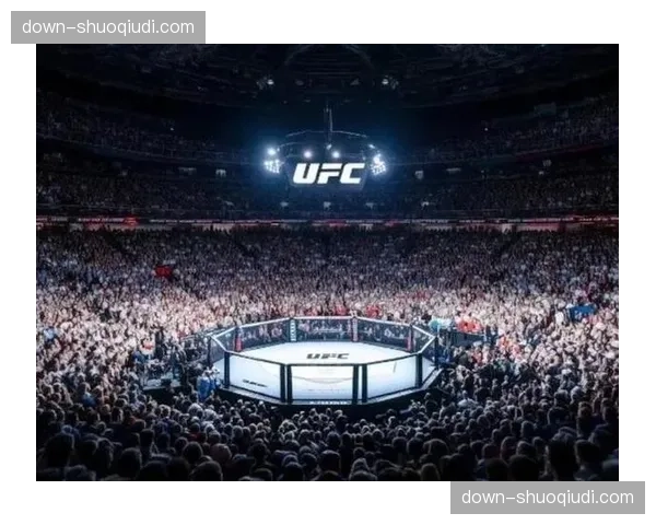 数字背后：UFC 300各项商业数据刷新纪录，付费点播与周边销售创历史新高